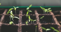 How uSERP built an $80k+ MRR agency in 1 year